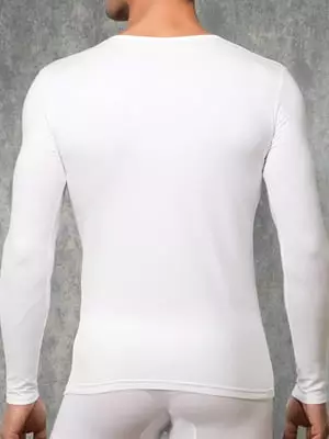 Мужская белая футболка с длинными рукавами Doreanse Long Sleeve 2920c02 Мужская белая футболка с длинными рукавами Doreanse Long Sleeve 2920c02